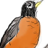 [Robin]